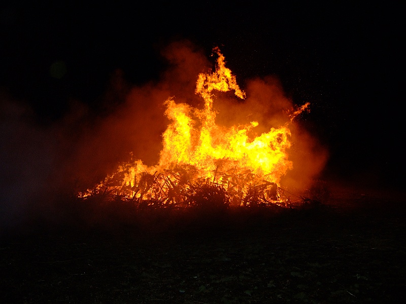 MVB - Funkenfeuer, 01.03.2009 (11).JPG